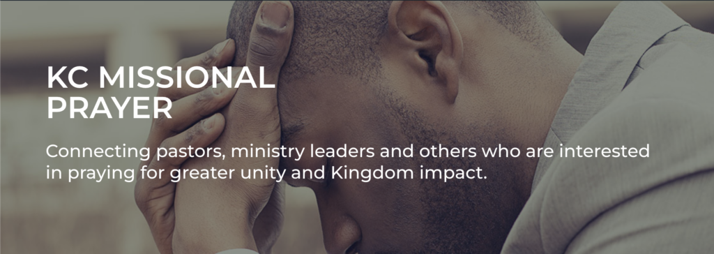 Screen Shot 2022 08 11 At 19.44.35