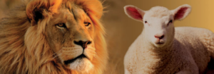 The Lion And The Lamb