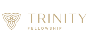 Artboard 4 Copy 16@4x